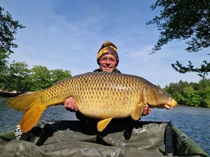 Common Carp