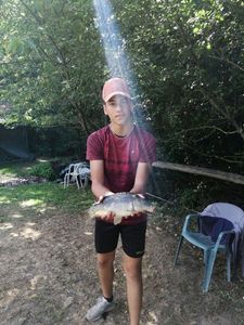 Mirror Carp