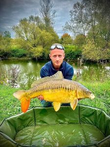 Mirror Carp