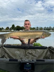 Grass Carp