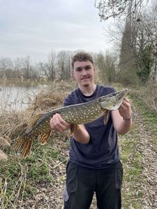 Northern Pike
