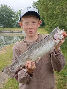 Rainbow Trout
