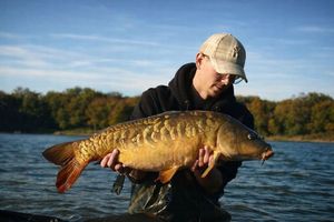 Mirror Carp