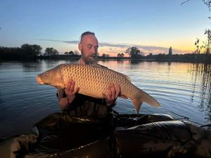 Common Carp