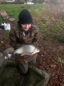 Common Bream