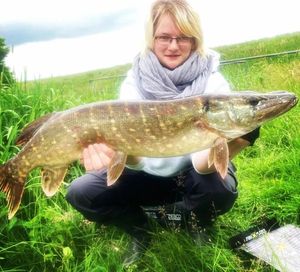 Northern Pike