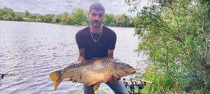 Common Carp