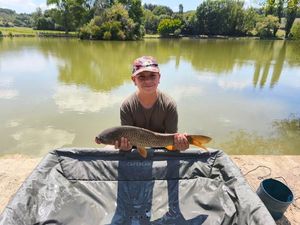 Common Carp