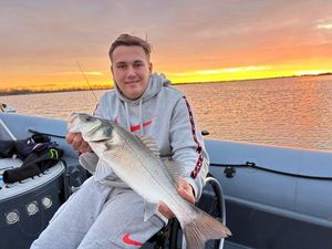European Bass (Seabass)