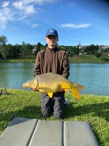 Mirror Carp