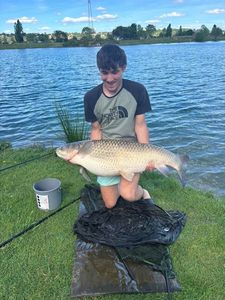 Grass Carp