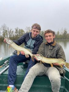Northern Pike