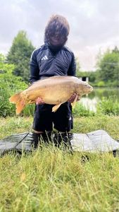 Mirror Carp