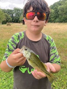 Smallmouth Bass