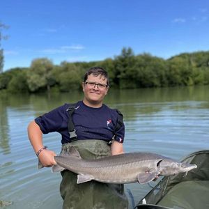 European Sturgeon