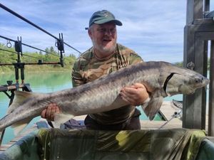 Sturgeon