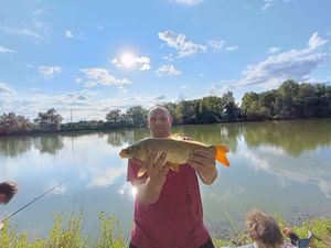 Common Carp