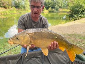 Mirror Carp