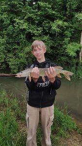 Northern Pike