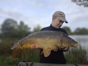 Mirror Carp