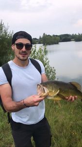 Largemouth Bass