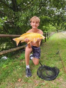 Koï Fish
