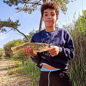Largemouth Bass