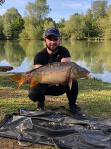 Mirror Carp