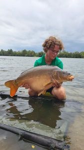Mirror Carp