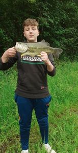 Largemouth Bass