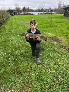 Northern Pike