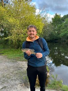 Largemouth Bass