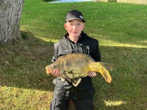Mirror Carp