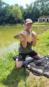 Mirror Carp