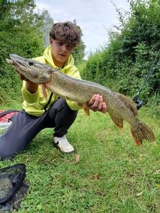 Northern Pike