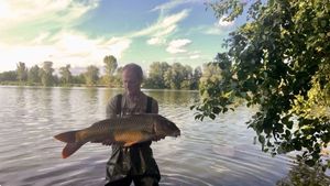 Common Carp