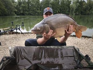 Mirror Carp