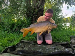 Mirror Carp