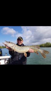 Northern Pike