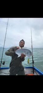 Bigeye Trevally