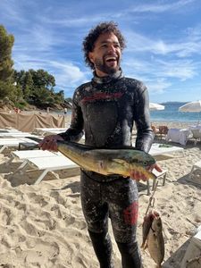 Dolphinfish