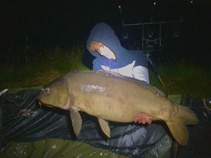 Mirror Carp