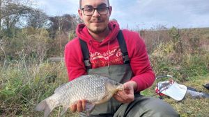 Crucian Carp