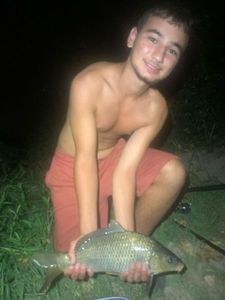 Common Carp