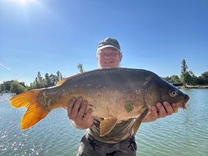 Mirror Carp