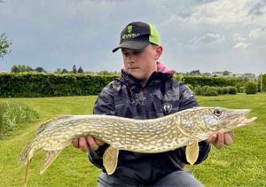 Northern Pike