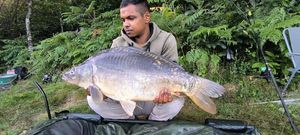 Mirror Carp