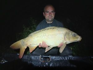 Mirror Carp