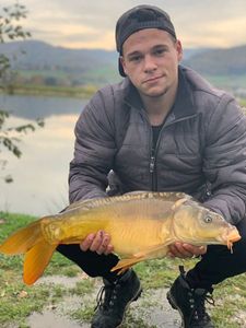 Mirror Carp