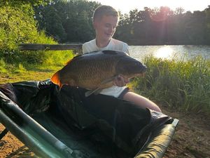 Common Carp